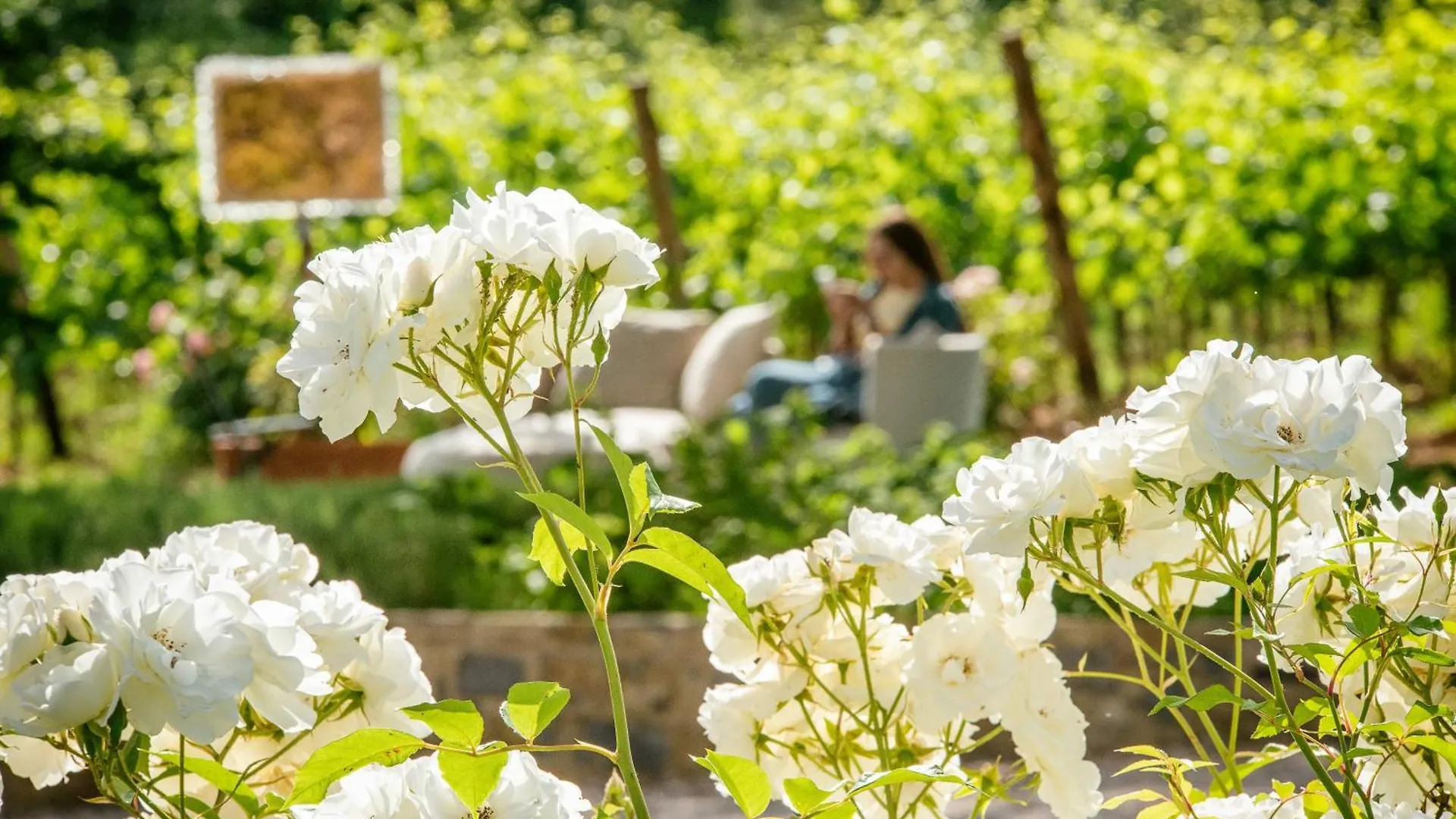 Resort Villa Le Prata - Residenza Del Vescovo - Adults Only Montalcino
