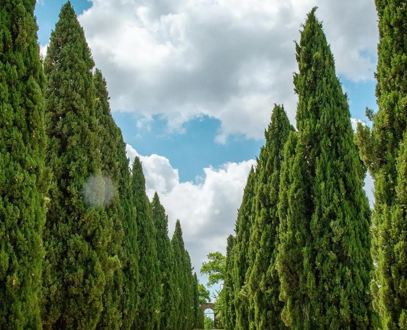 Resort Villa Le Prata - Residenza Del Vescovo - Adults Only Montalcino